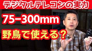 マイクロフォーサーズのデジタルテレコンは使えるのかを野鳥撮影を交えながら検証