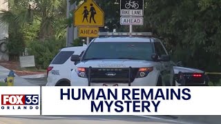 3 suitcases found with human remains in South Florida