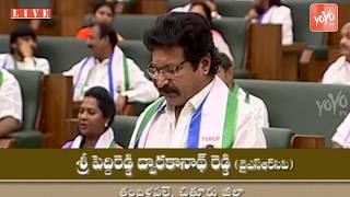 AP Assembly -Peddireddy Dwarakanath Reddy Takes Oath as MLA in Assembly | Thamballapalle MLA |YOYOTV