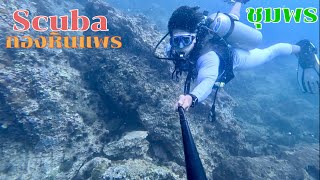 Scuba : กองหินแพร ชุมพร กองหินมากมายข้างเกาะง่ามใหญ่