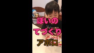 ぼいの手作りアポロチョコレート