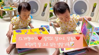 12개월아기 | 잘자고 잘먹고 잘놀고 잘웃고 | 책을 잘 읽는 아기의 성장기록📝❤️