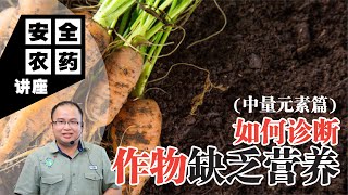 【Baba安全农药讲座】如何诊断作物缺乏营养? | 中量元素篇 | 作物缺少中量元素的 ’求救声‘ 你有听到吗？| 植物肥分