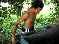 raro simon cutting coconuts for pigs.avi