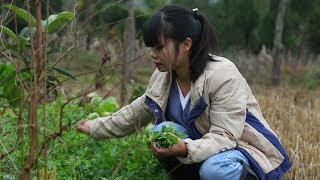 【二米炊烟】农村的年猪饭：尖椒回锅肉，干煸肥肠，泡菜猪肝，犒劳一下家人