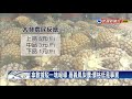 鳳梨爆大量一斤剩1元？ 農委會：分級不同－民視新聞