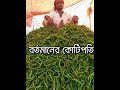 কাঁচা মরিচের দাম প্রতি কেজি ৬০০ ৭০০টাকা🇧🇩🇧🇩 viral video youtube short short video