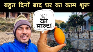 पहली बार पहाड़ों में ऐसा माल्टा 😱|| Pahadi Village Lifestyle Vlog || Pahad Wale Bhaiya.