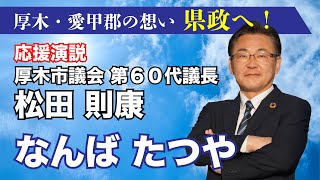 3.11総決起大会応援演説　厚木市議会第60代議長 松田則康