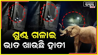 ଘର ଭିତରେ ଶୁଣ୍ଢ ପୁରାଇ ହାଣ୍ଡିରୁ ଭାତ ଖାଇଲା ହାତୀ, ଟିକେ ଭଲ କରି ଦେଖନ୍ତୁ ଏହି ଦୃଶ୍ୟ...