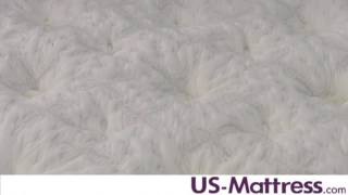 Aireloom Sierra Preferred Twilight Maple Luxury Firm Mattress Expert Review