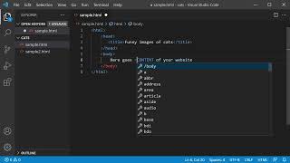 Basic HTML document structure - body, head, title