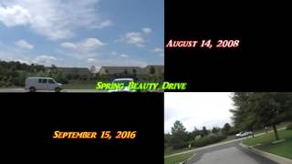 Construction of Spring Beauty -Honesty Lane Sun City HHI S. C.  2008- 2016