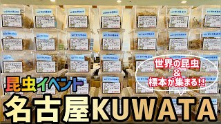 【昆虫イベント】名古屋KUWATAに参戦してきました！！