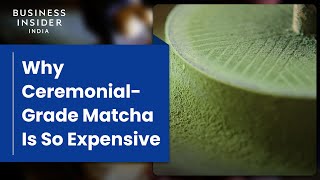 Why Ceremonial-Grade Matcha Is So Expensive | So Expensive Food