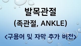 기능해부학_발목관절(족관절)근육 (구용어 자막 추가버전)