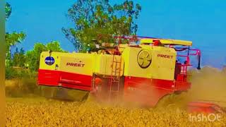 Preet 987 wheat harvest start 2021