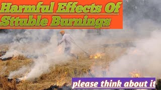 Harmful Effects of Sttuble Burning (Latest video)