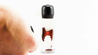 Red Colorful Ferrofluid in a Bottle (15 mL)