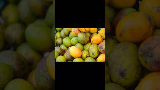 Farm fresh Mango | পাকা আম |রসালো আম |#youtubeshorts #fruitslovers