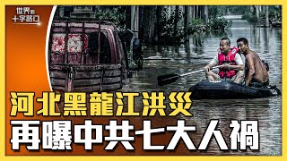 [短版] 河北黑龍江洪水，中共七大人禍導致？大水退去，大疫將至，糧食要出事？（2023.8.9）｜唐浩視界