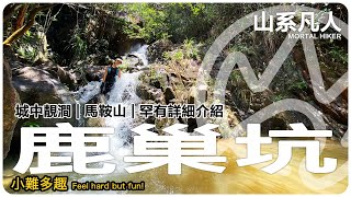 城中秘景｜鹿巢坑｜行山｜詳細路況｜山系凡人｜中文字幕｜English Subtitle