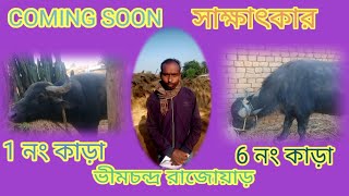 ভীমচন্দ্র বাবুর সঙ্গে সাক্ষাৎকার । দামদা 1 নং কাড়া। এবং 6 নং কাড়া। সম্পূর্ণ ভিডিওটি দেখুন।