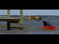 Police K9 - IRONDOGK9 Police K9 - IRONDOGK9