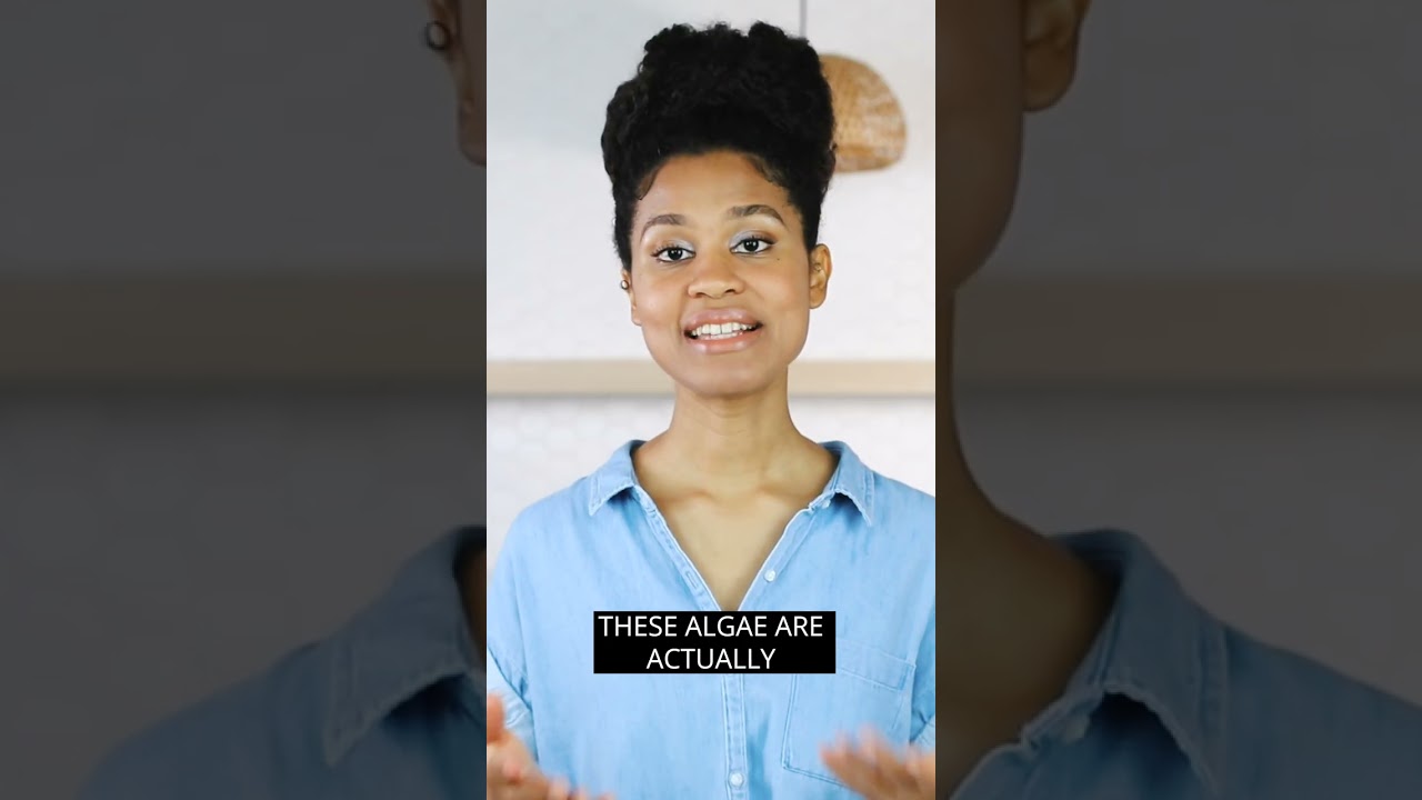 How To Avoid Dha Deficiency On A Vegan Or Plant Based Diet How To Avoid Dha Deficiency On A Vegan Or Plant Based Diet