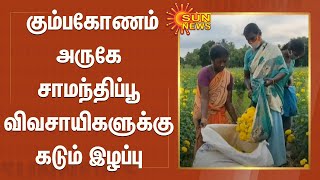 கும்பகோணம் அருகே சாமந்திப்பூ விவசாயிகளுக்கு கடும் இழப்பு