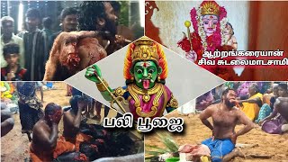 🙏🔥நடுசாமத்தில் ஆற்றங்கரையான் சிவ சுடலைமாடசாமிக்கு பலி பூஜை  | தேரிவிளை | 2024 கொடைவிழா.