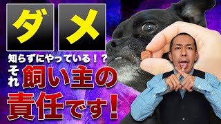 【ダメ！】飼い主が知らずにやってる！犬への悪い行動！解決法も松本秀樹が伝授！