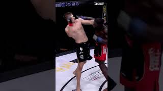 David Jacobson vs Ibrahim Mané Action Moments #mma #shorts