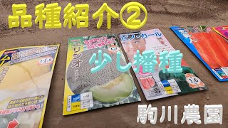 品種紹介②とメロン・まくわ瓜・小玉スイカ播種　邑南町　駒川農園　22.1.21