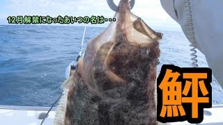 【船】ヒラメ【釣り】