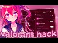 ⚡️UNDETECTED⚡️ Valorant Cheat | FREE Aimbot and Wallhack 2024!