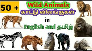 50 kattu vilangugal l காட்டு விலங்குகள் l Learn wild animals name for kids l Toddlers Slate.