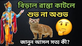 বিড়াল রাস্তা কাটলে শুভ না অশুভ ? জানুন আসল সত্যটা কি ?