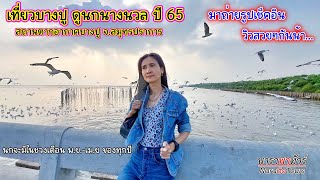 เที่ยวบางปู ดูนกนางนวล ปี 65 ถ่ายรูปสวยๆ ณ.สถานตากอากาศบางปู สมุทรปราการ