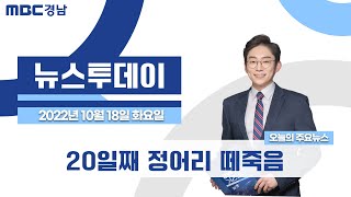 뉴스투데이 경남 1018 Full ver. | 20일째 정어리 떼죽음