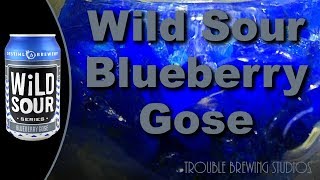 DESTIHL Wild Sour Blueberry Gose - Beer Bros Make Another Gose At It Part 3