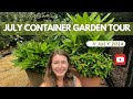 July Container Garden Tour