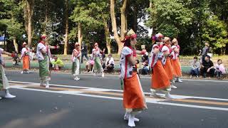 春の神武祭パレード2019　みつば家その１