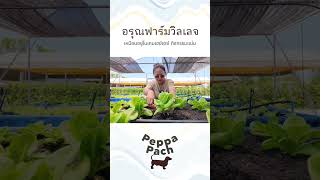 #อรุณฟาร์มวิลเลจ #ที่เที่ยวชลบุรี #กิจกรรมครอบครัว #เที่ยวไทย #สวนสัตว์ #กิจกรรมเด็ก #พาลูกเที่ยว