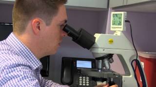 Veterinarian in Charlotte NC, West Ballantyne Animal Hospital