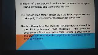 Core promoter elements