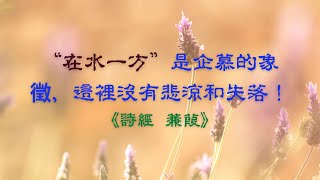 《詩經  蒹葭》先秦  誦讀，解析