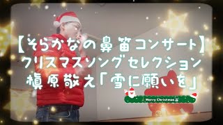 【そらかなの鼻笛コンサート】 クリスマスソングセレクション 槇原敬之「雪に願いを」