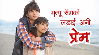 I Give My Fist Love To You explained in Nepali.