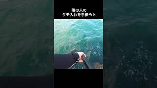 釣り人に貰ったアイゴが美味すぎる #shorts